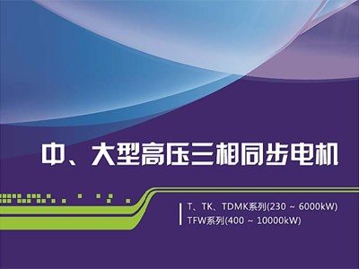 東元中大型同步電機介紹（T、TK、TDMK、TFW）江西東元生產(chǎn)