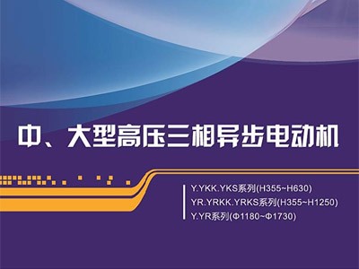 東元中大型高壓電機Y系列樣本（新Y(Y、YKK、YKS、YR、YRKK、YRKS)及老Y）江西東元生產(chǎn)