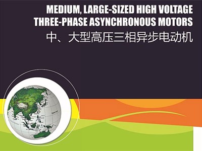 東元中大型高壓電機T-Y系列樣本（ASXK、AEXK）江西東元生產(chǎn)